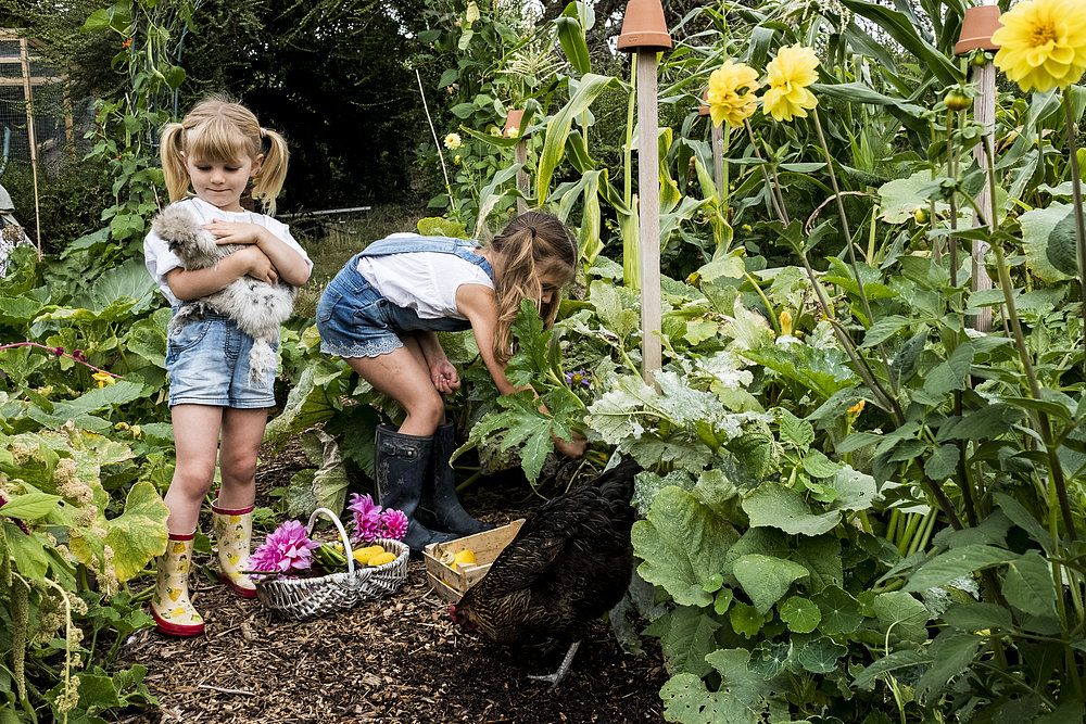 Two little girls harvest vegetables and pick flowers in an urban gardening project.