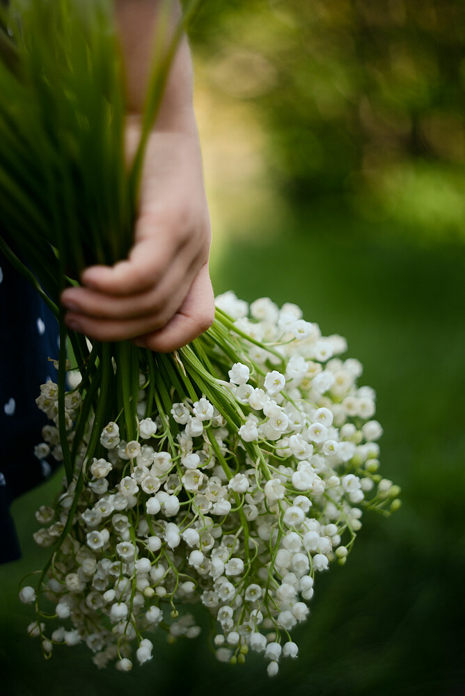 Bouquet of lily of the valley in the may time